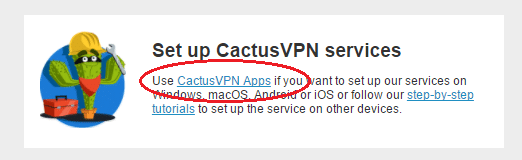 Cactus VPN set up