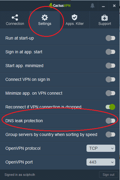 Cactus VPN Settings