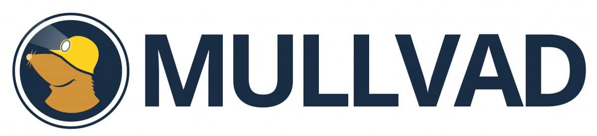 MullVad Logo